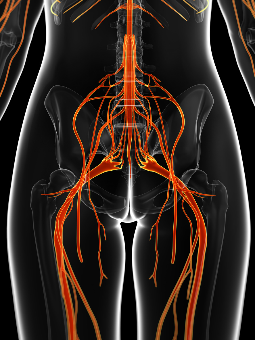 Lateral Femoral Nerve/Meralgia Paresthetica Neuropax Clinic, 45% OFF