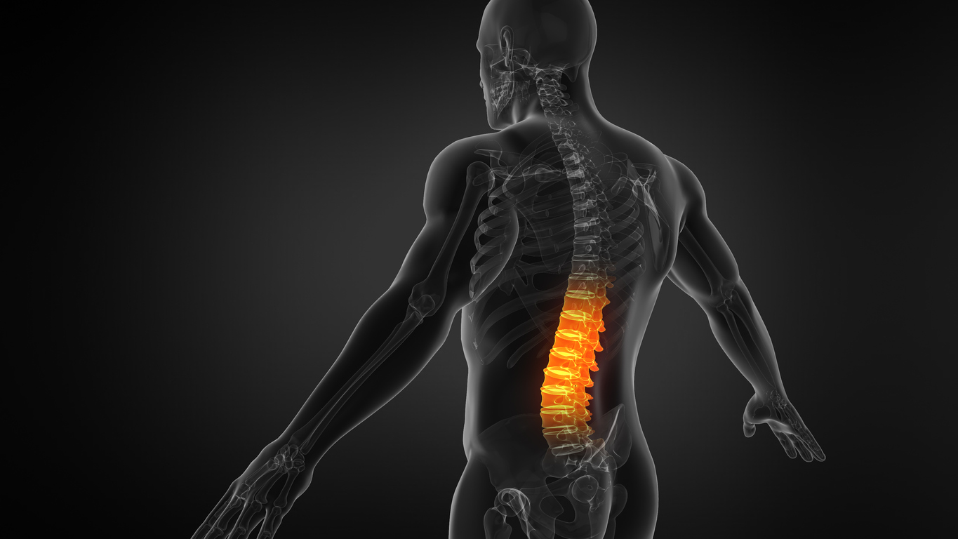 Upper Back Pain – Causes and Solution – Painalog