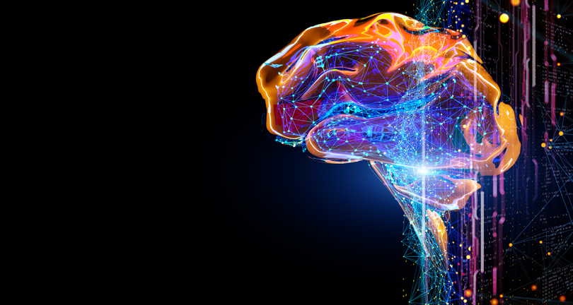 Neuromatrix Theory of Pain | PainScale